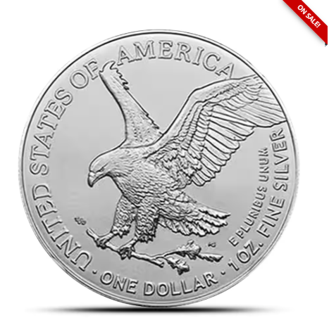 1 oz American Silver Eagle Coin (Random Year)